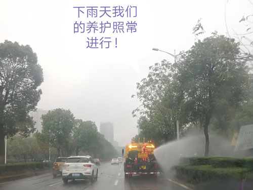 園林綠化養(yǎng)護